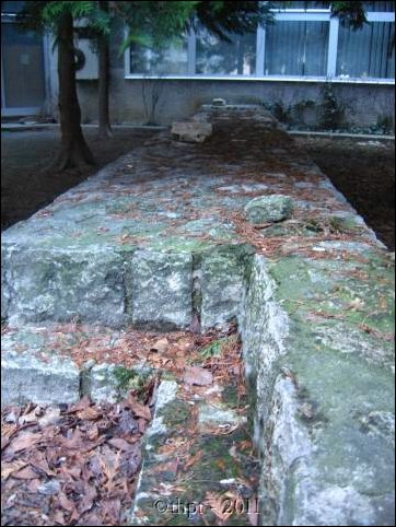 sztpeter_11_11.jpg