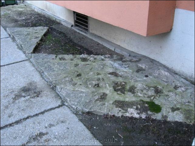 sztpeter_11_17.jpg