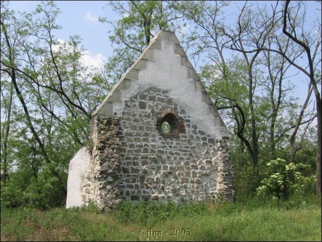 potharaszti_06_01.jpg