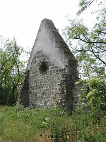 potharaszti_06_02.jpg