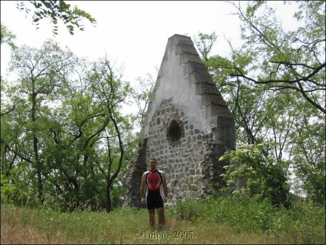 potharaszti_06_03.jpg