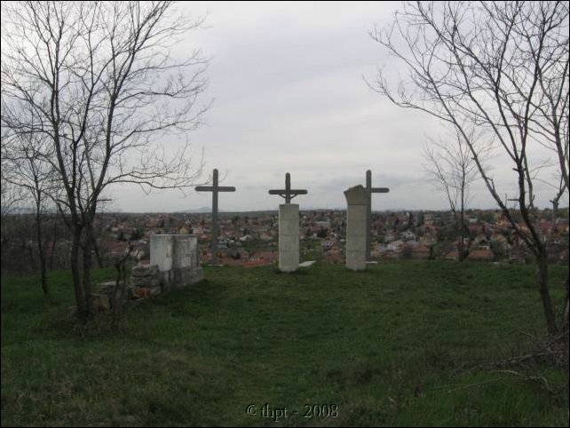 kerepesi_08_14.jpg
