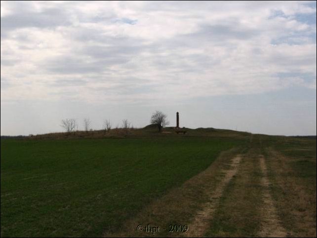 ladanybene_09_01.jpg