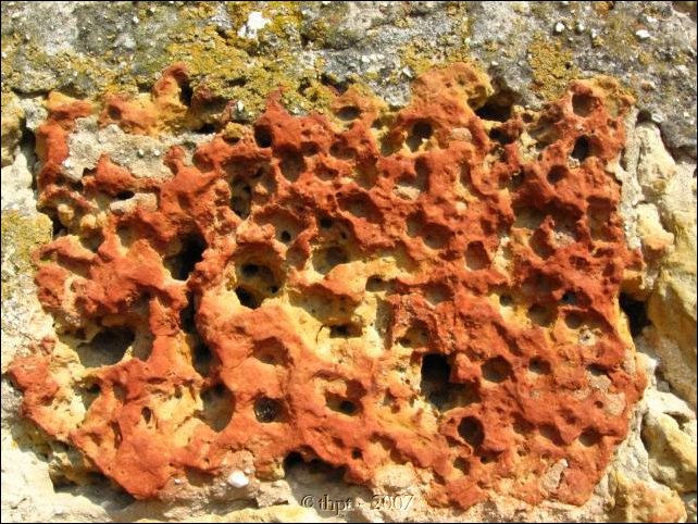 pusztatemplomrom08.jpg