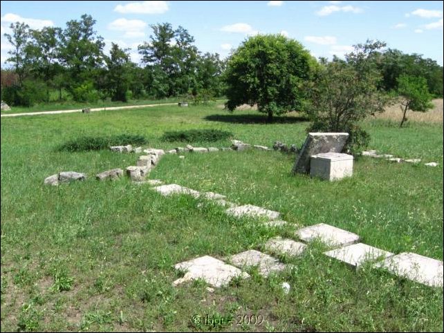 bog_09_05.jpg