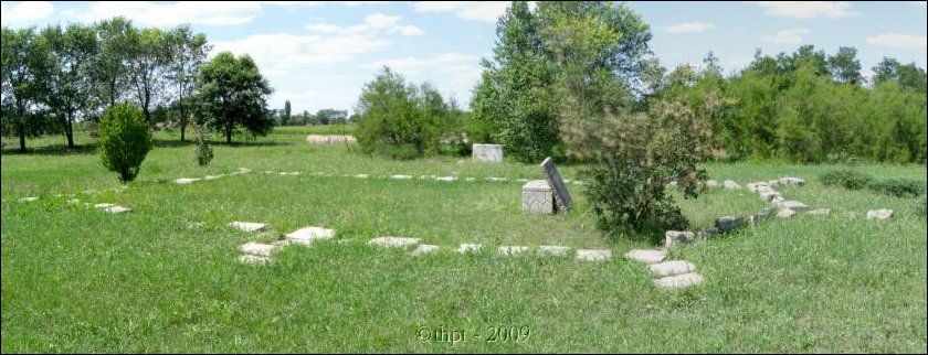 bog_09_09.jpg