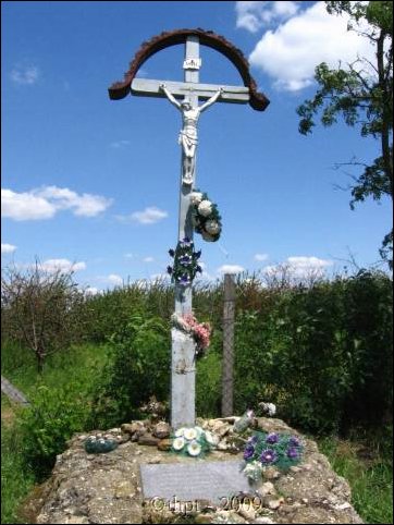 bog_09_10.jpg