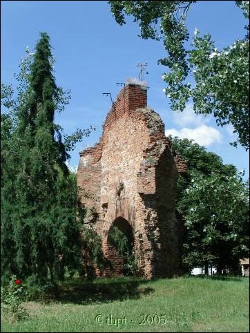 tiszaderzs_05_01.jpg