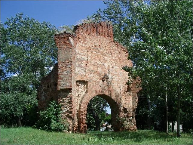 tiszaderzs_05_03.jpg