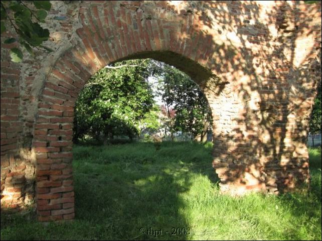 tiszaderzs_08_17.jpg