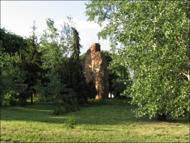 tiszaderzs_08_20.jpg