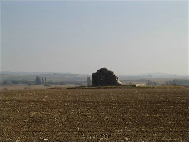 tok_05_01.jpg